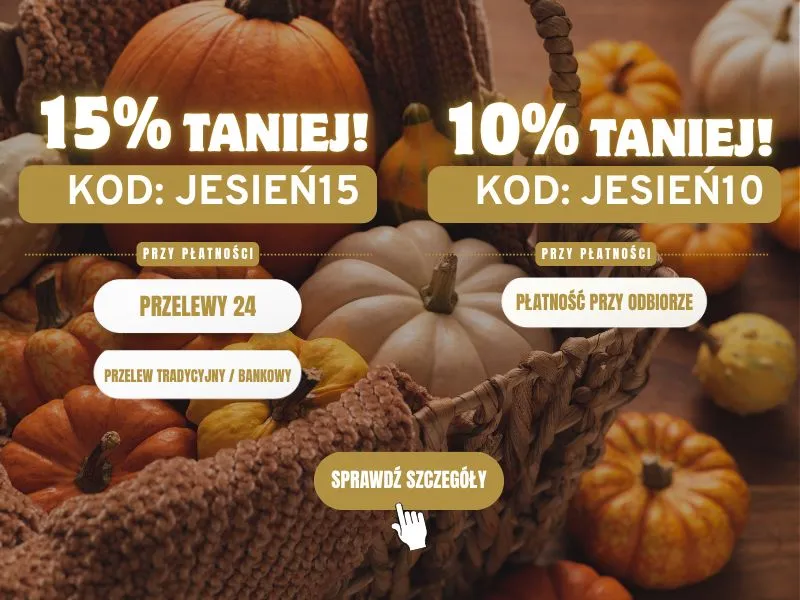 Baner MOBILE promocja str gł